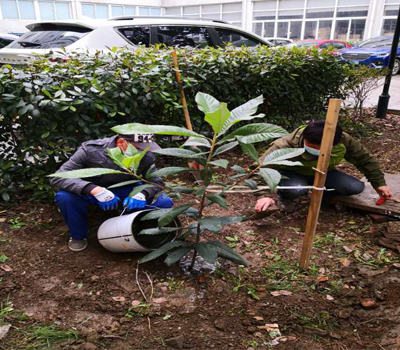 5ec39edd81330.jpg 未标题-5.jpg