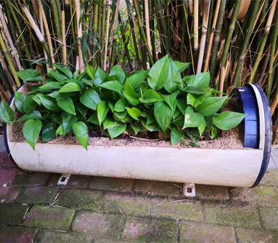 5ec4a61104650.jpg 未标题-23.jpg